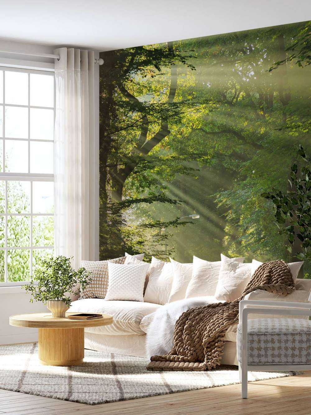Des rayons de soleil à travers les arbres