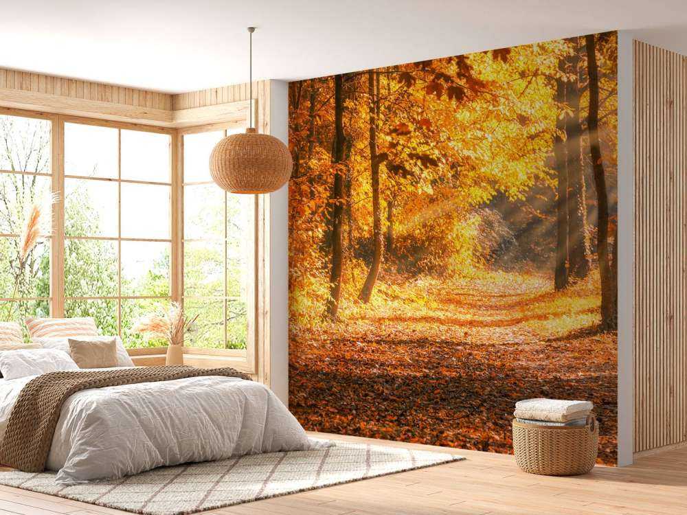 Panorama en automne