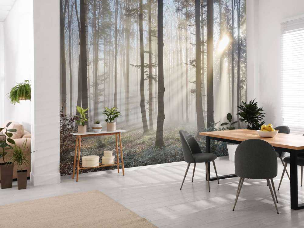 Forêt brumeuse