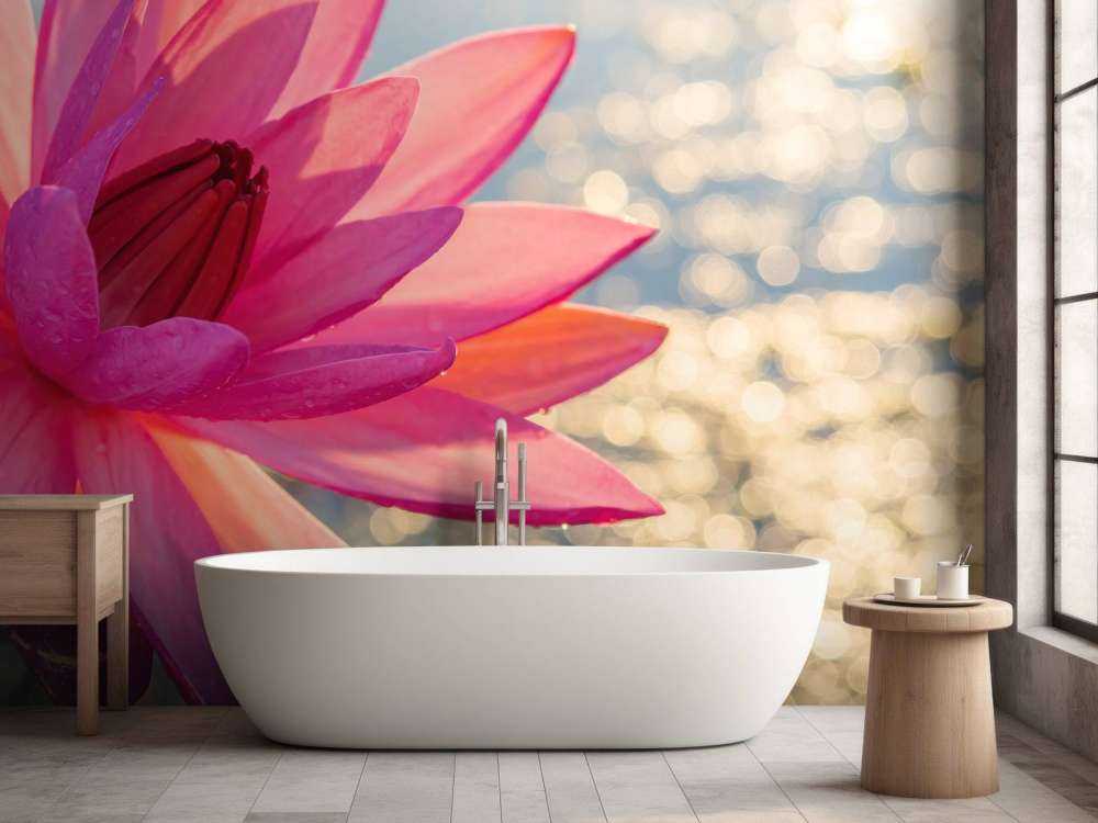 Fleur de lotus sur l'eau