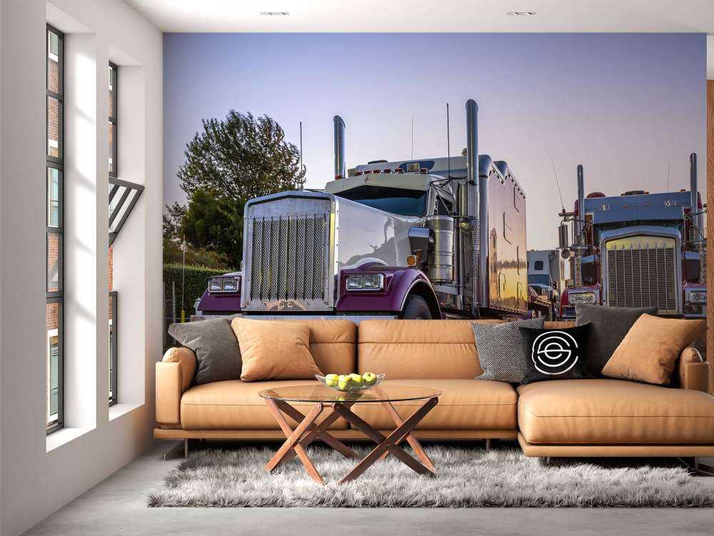 Camions classiques