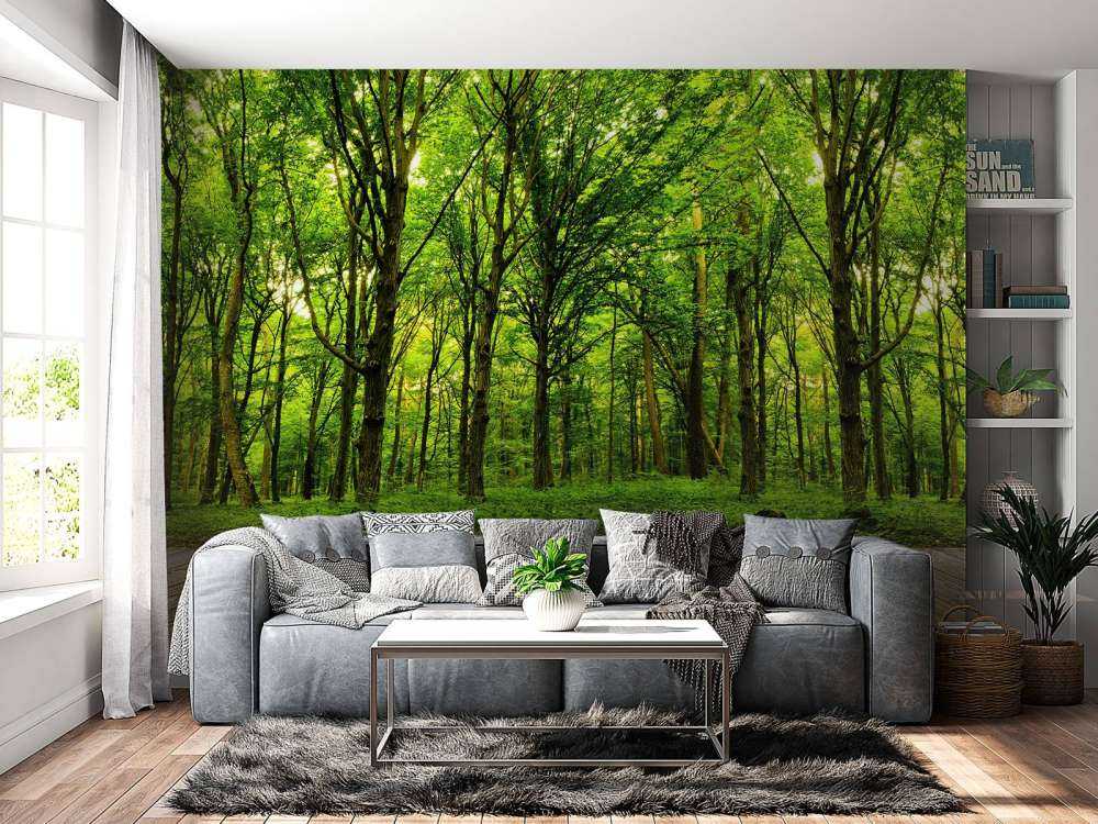 Forêt luxuriante
