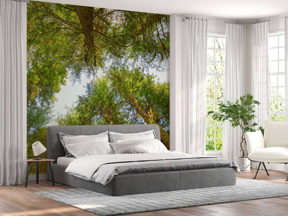 Arbres et feuilles