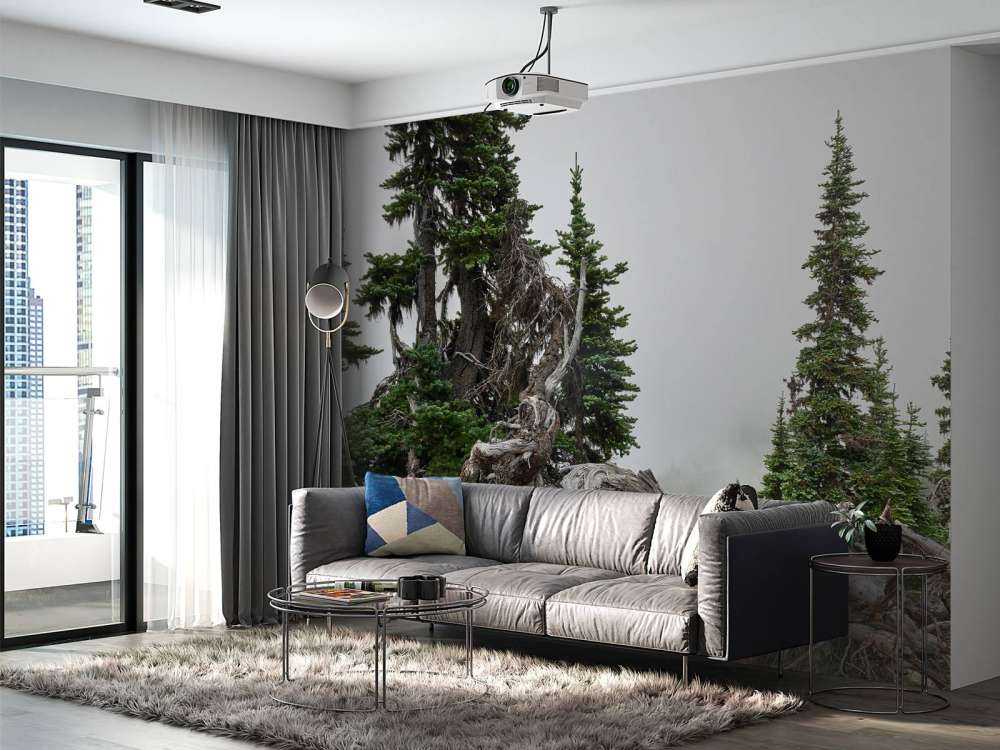 Arbres et vieux arbres