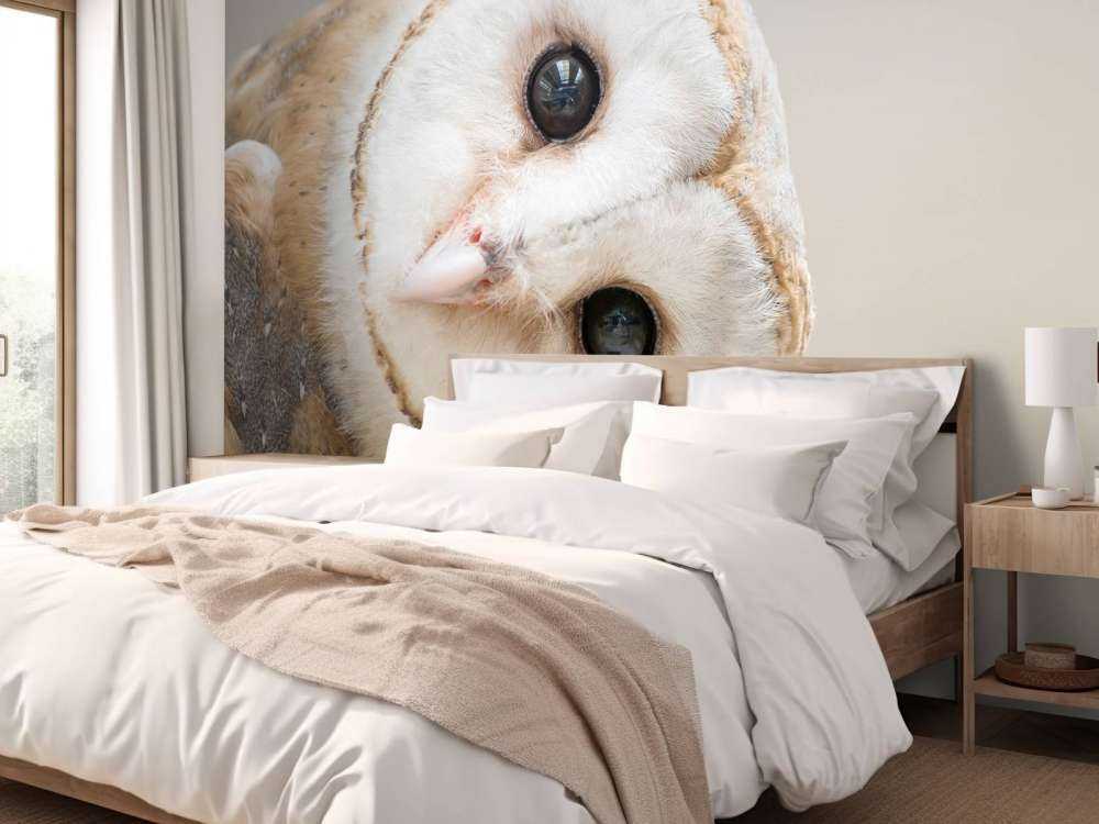 Chouette avec la tête inclinée