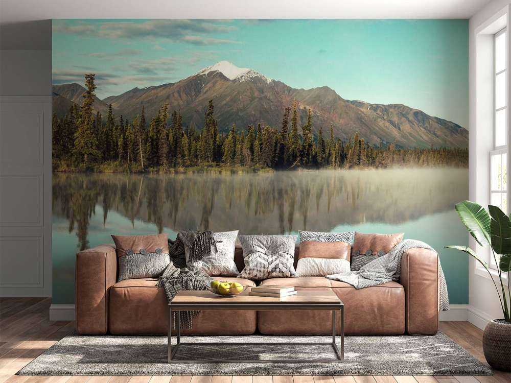 Paysage en Alaska