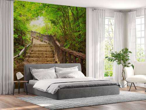 Escalier en forêt