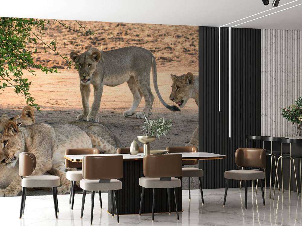 Famille du lion