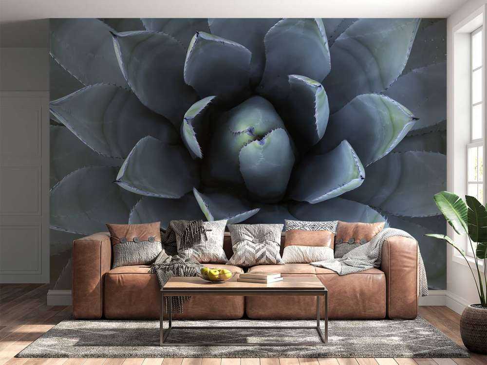 Bleu succulent