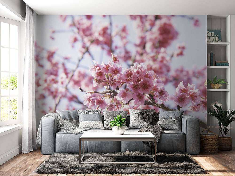 Gros plan sur la fleur rose