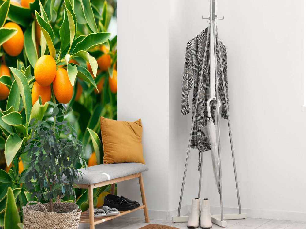 Arbre fruitier