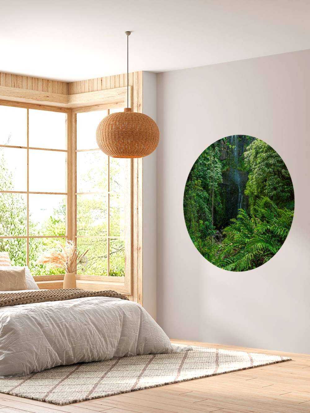 Jungle et pierres