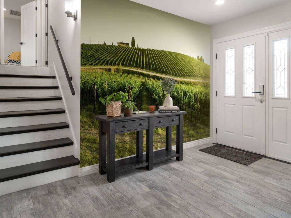 vignoble toscan