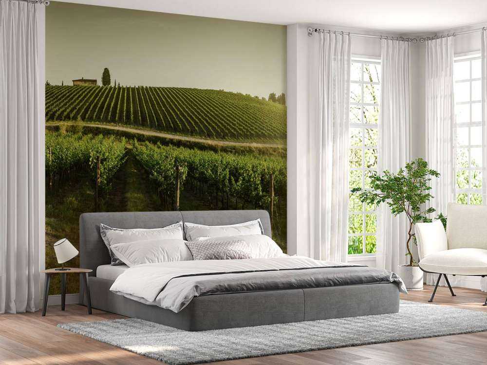 vignoble toscan