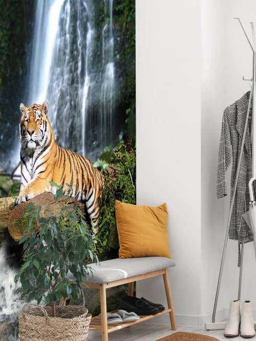 Tigre dans la jungle