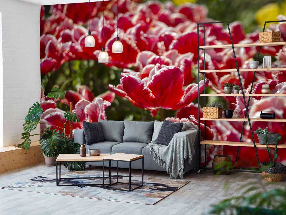 Tulipes rouges