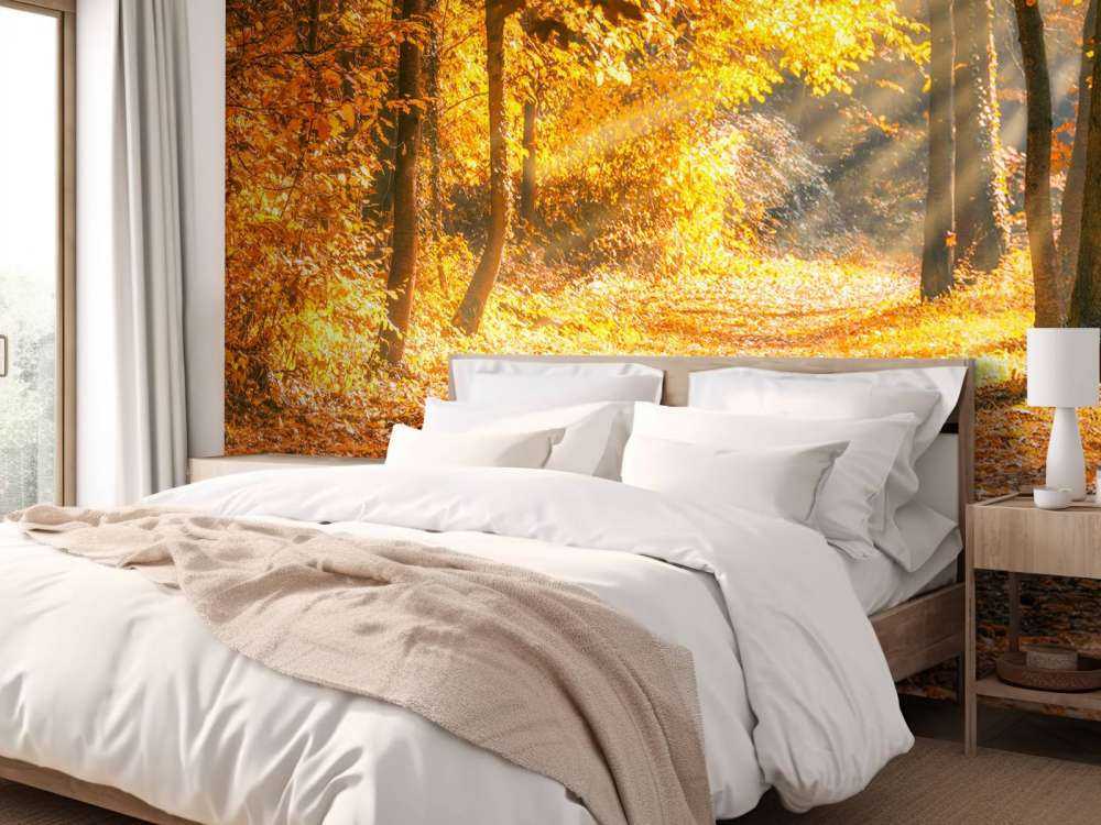 Panorama en automne