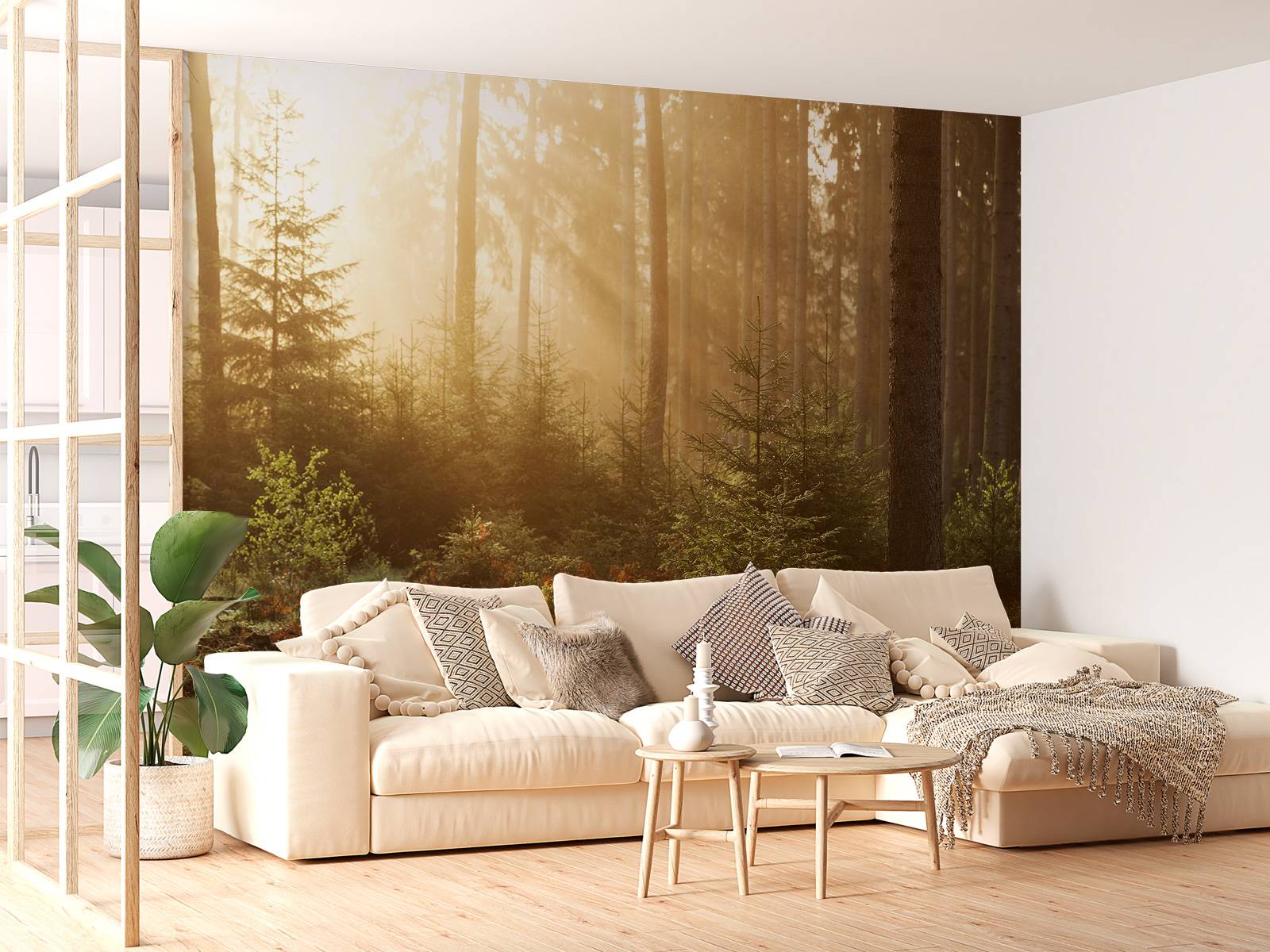 Rayons de soleil à travers la forêt
