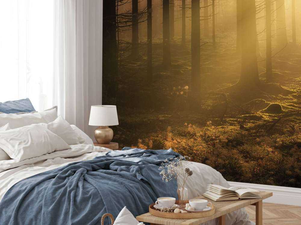Forêt sombre d'automne