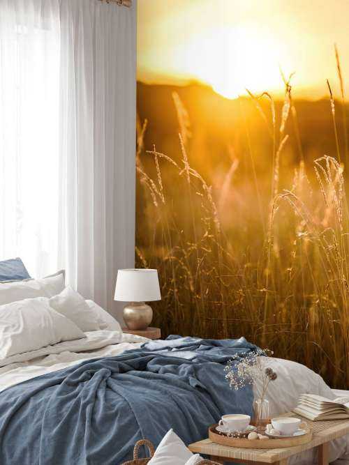 Coucher de soleil entre les grains