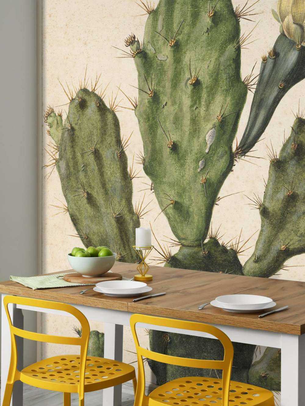 Cactus figuier à fleurs