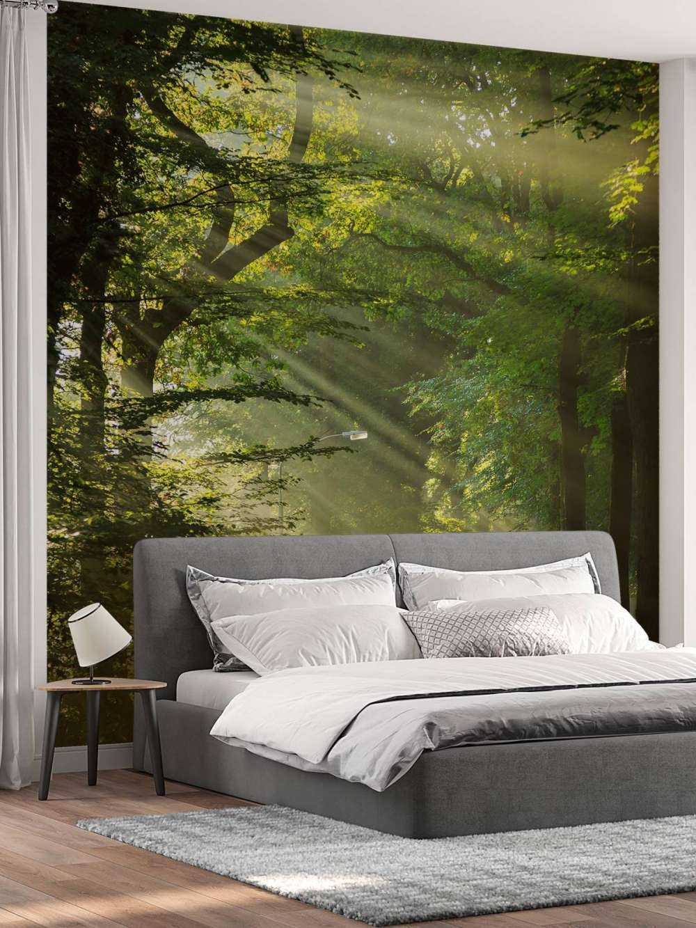 Des rayons de soleil à travers les arbres