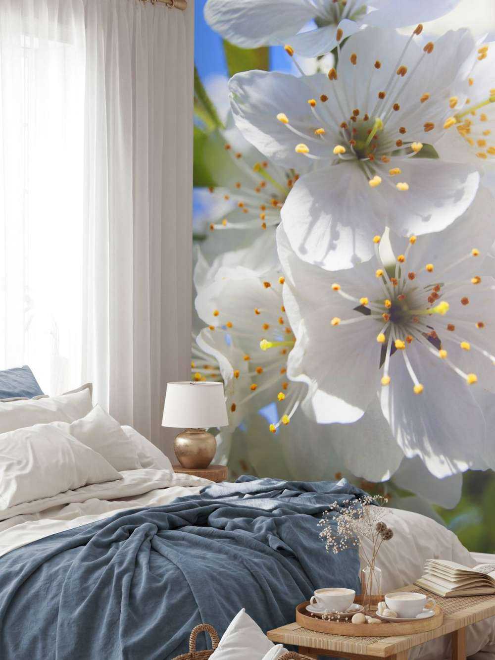 Gros plan sur des fleurs blanches