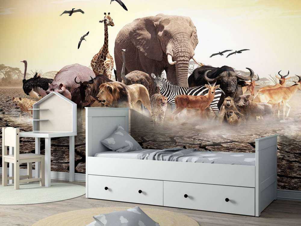 Animaux en Afrique