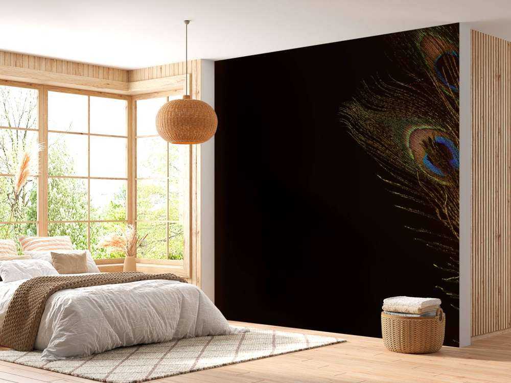 Plume de paon colorée