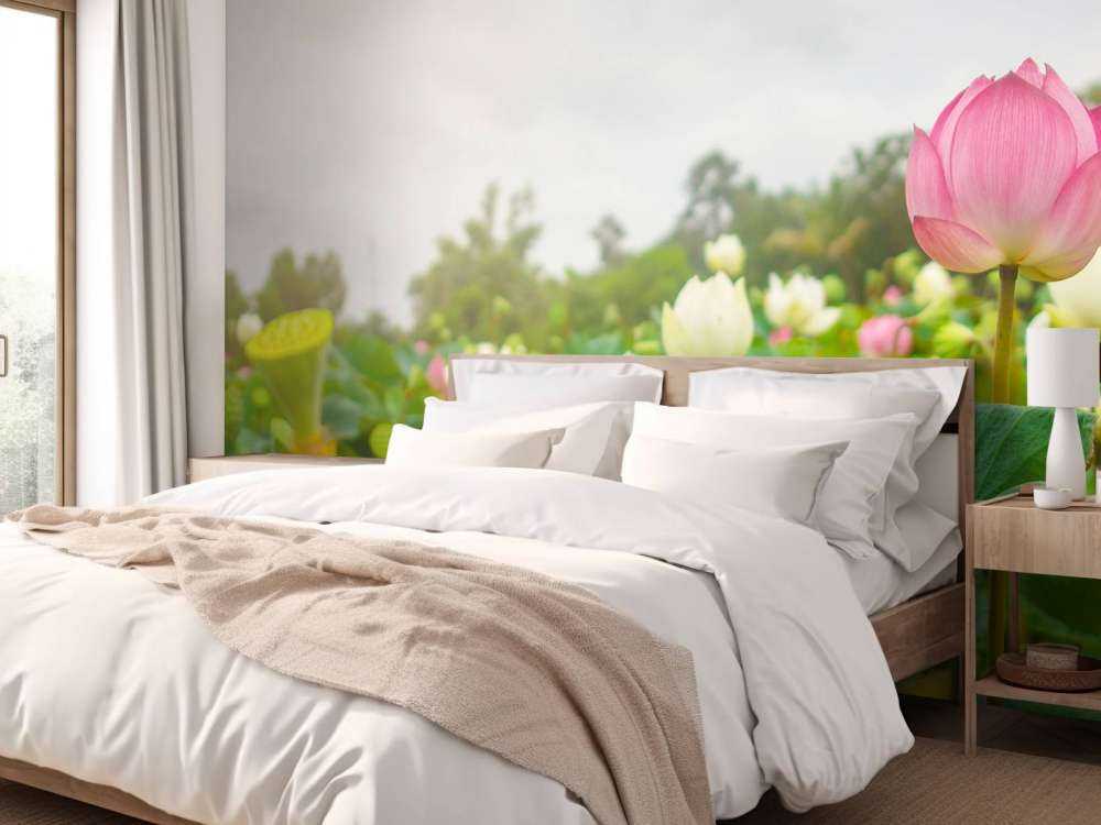 Fleurs de lotus roses et blanches