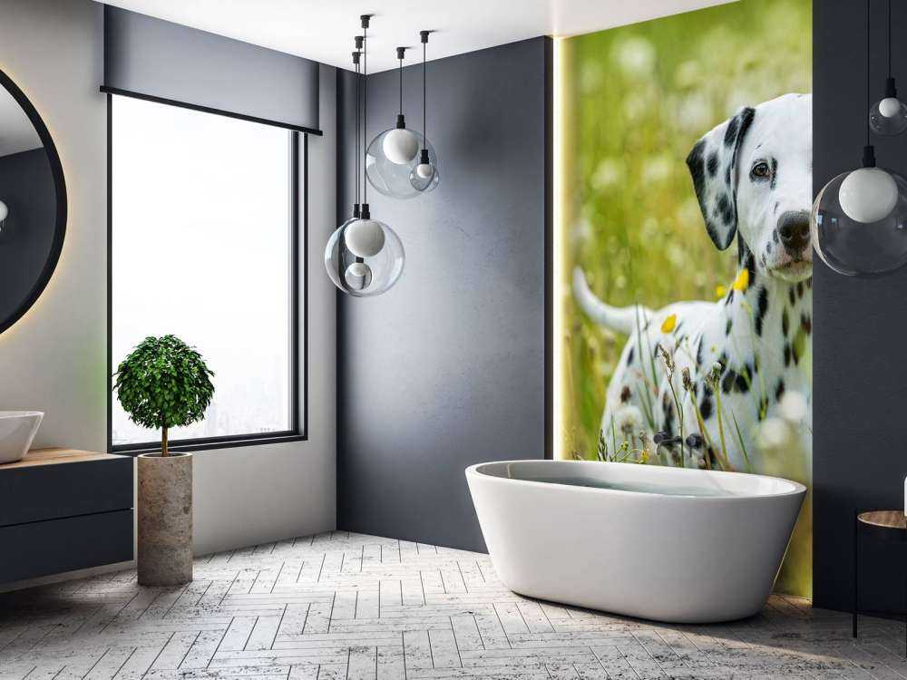 Dalmatien
