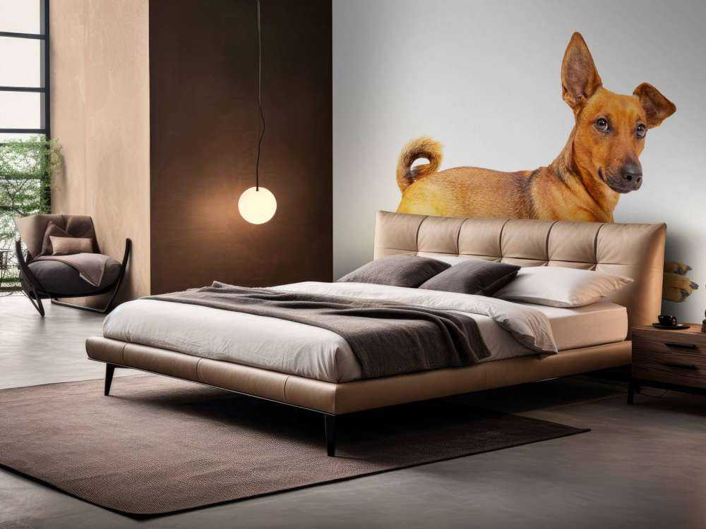 Un chien mignon