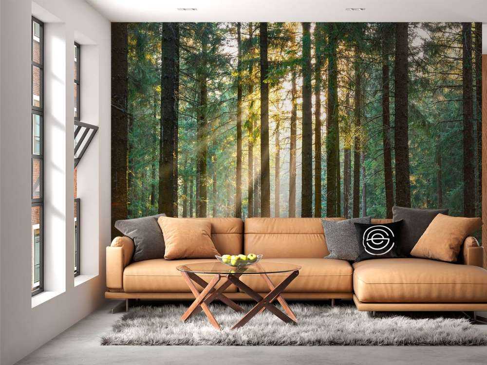 Une forêt tranquille