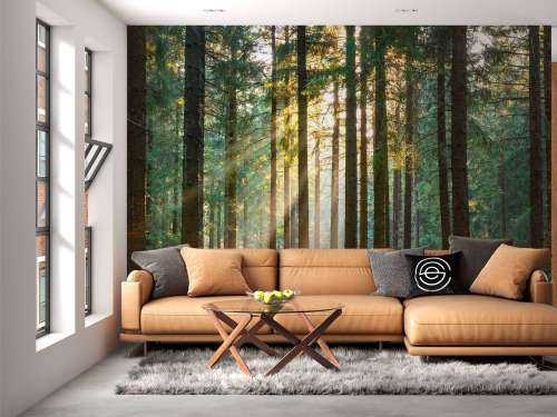 Une forêt tranquille