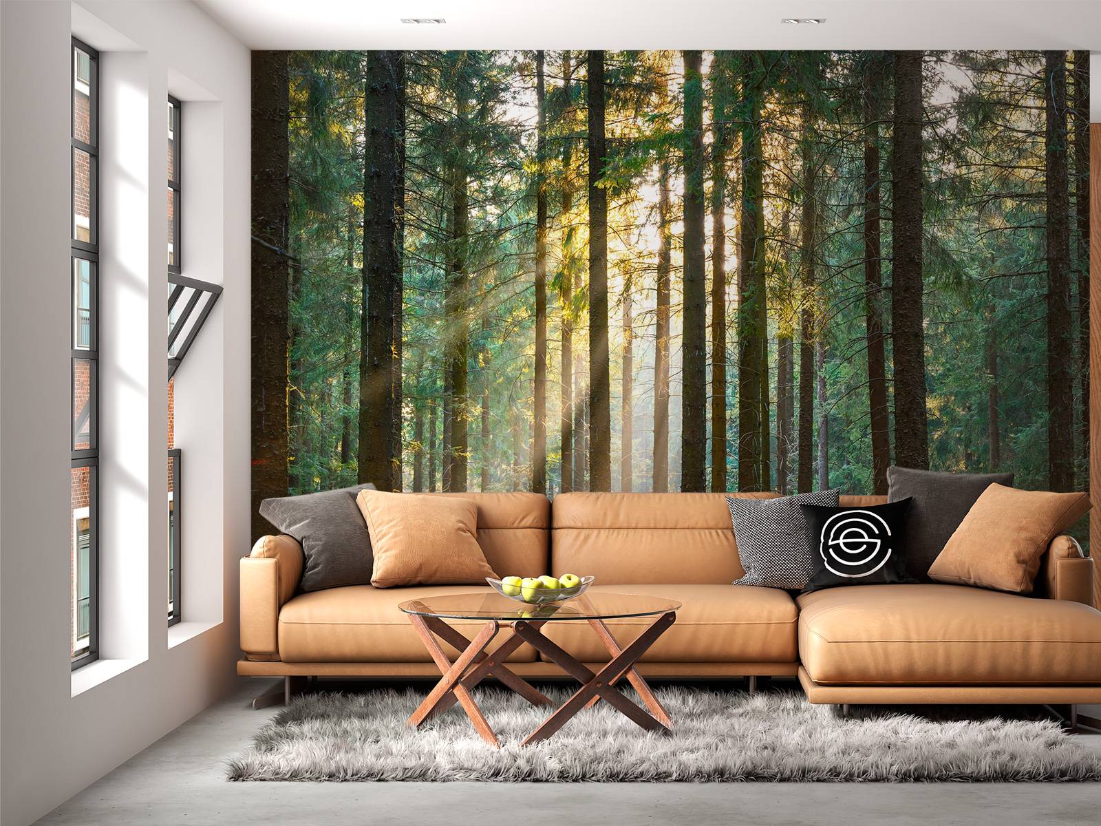 Une forêt tranquille