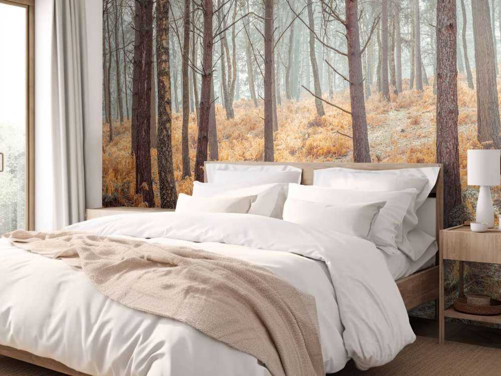 Forêt en automne