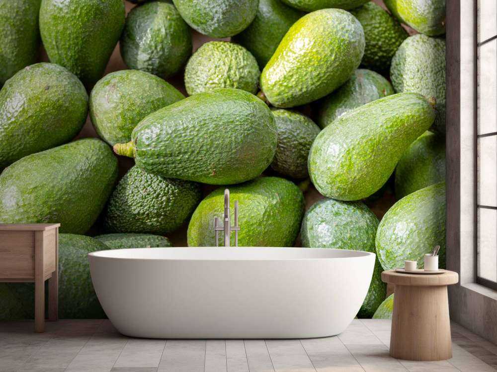 Avocats