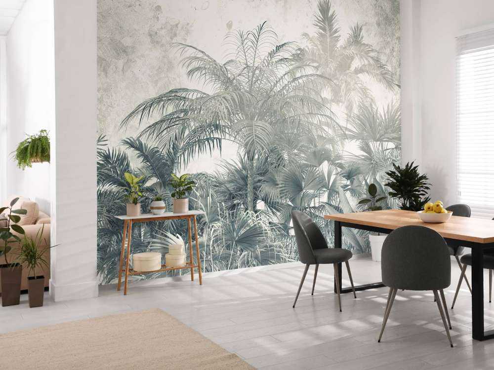 Forêt tropicale mystique
