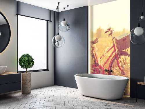 Vélo d'époque