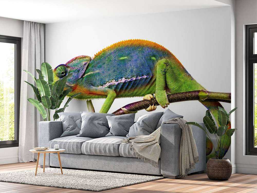 Caméléon