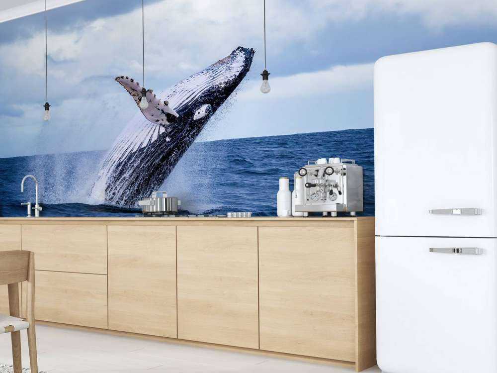 Baleine sauteuse