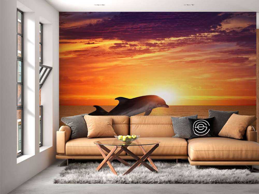 Dauphins sous le coucher du soleil