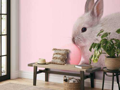 Lapin avec un œuf