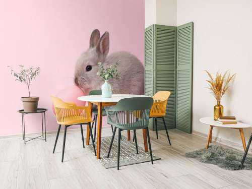 Lapin avec un œuf