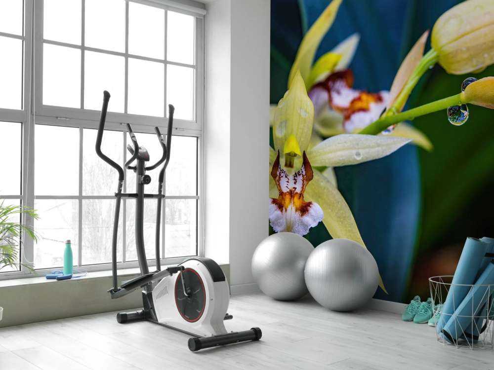 Orchidée jaune sauvage