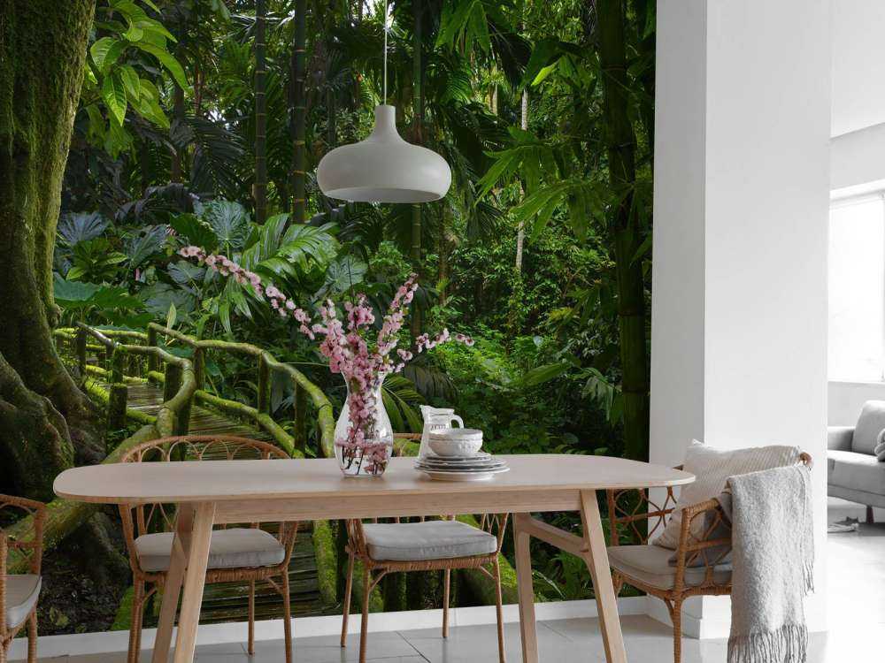 Pont étroit dans la jungle