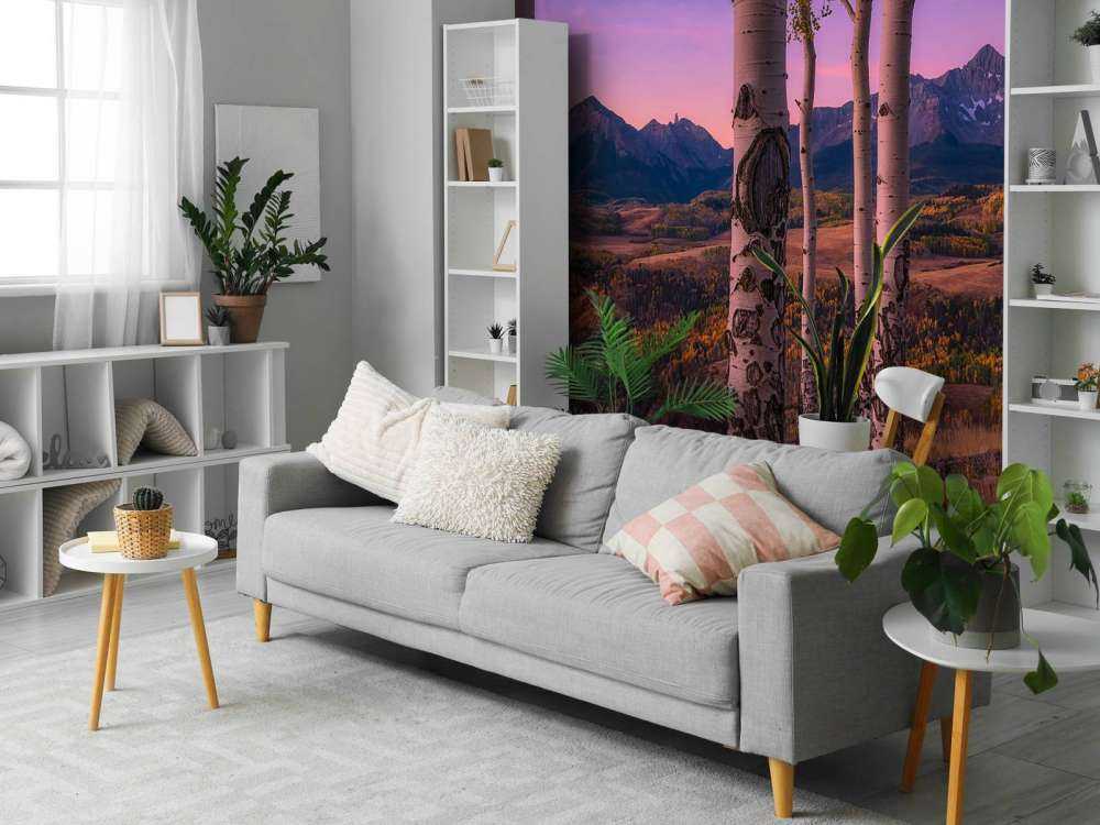 Aspen Frames