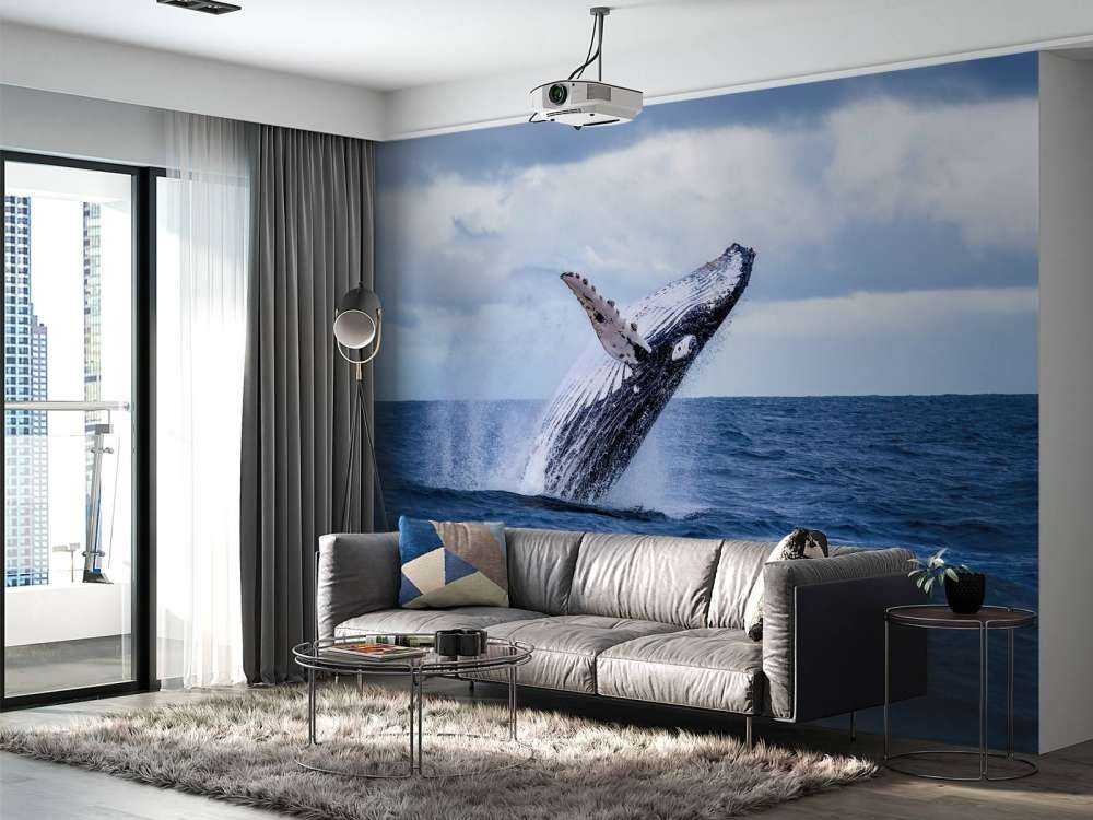 Baleine sauteuse