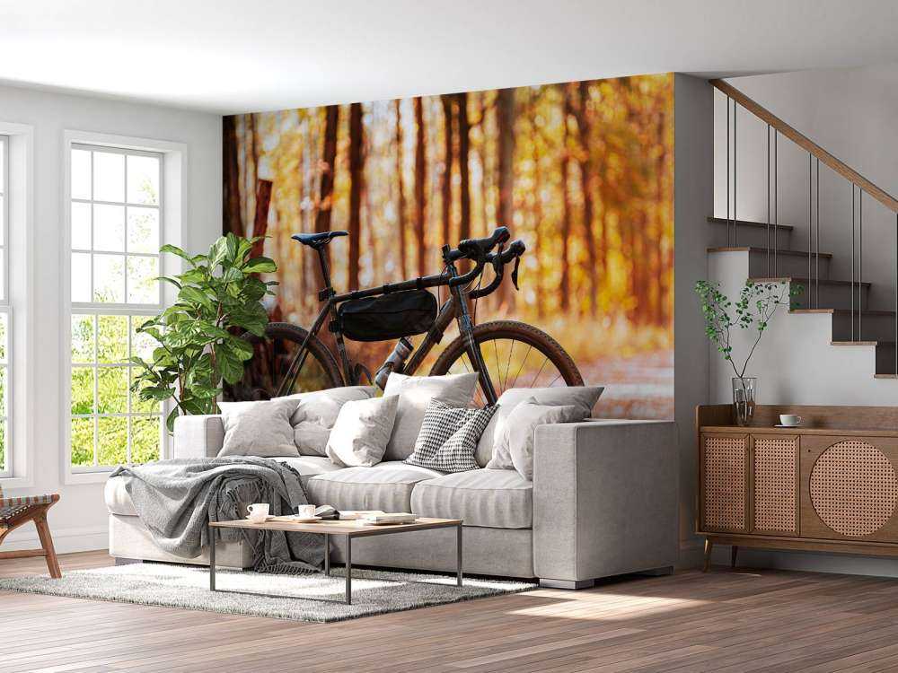 Vélo en automne