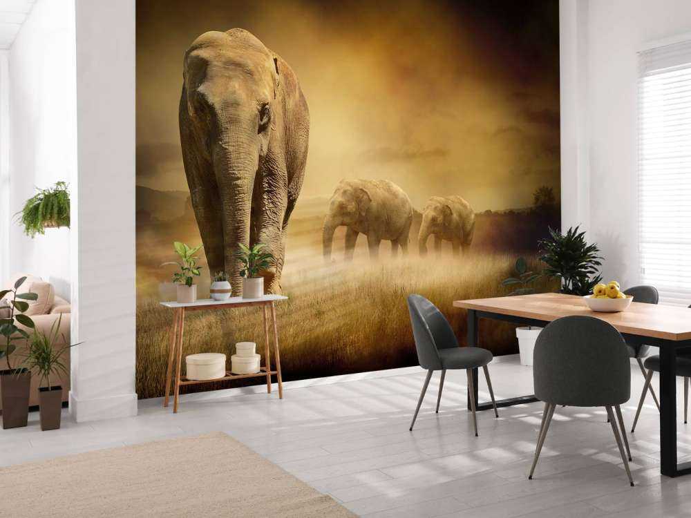 Trois éléphants